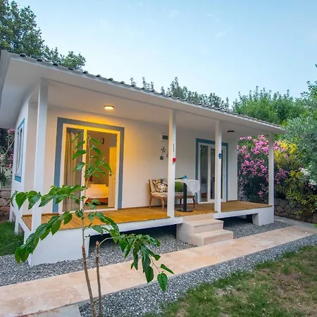Damla Sogut Daily Weekly Marmaris