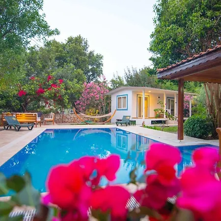 Villa Damla Sogut Daily Weekly